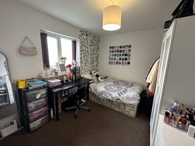 Picture 7